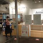 recommendations for アニマックス カフェ+
