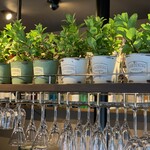 お酒の美術館 御幸町店的實拍圖
