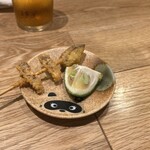 recommendations for 青山一丁目たぬき