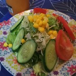 インド料理 カリカ 護国寺店的實拍圖