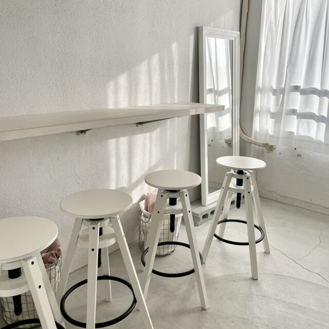 recommendations image for papillon