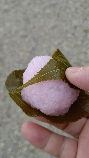 朝日堂琮源 西店的實拍高清圖