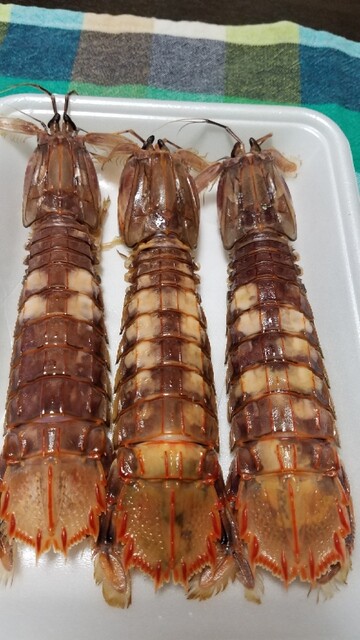 鮮魚にしざわ 三越札幌店的實拍高清圖