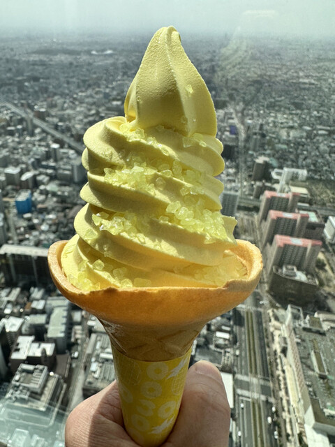 SKY GARDEN 300的實拍高清圖