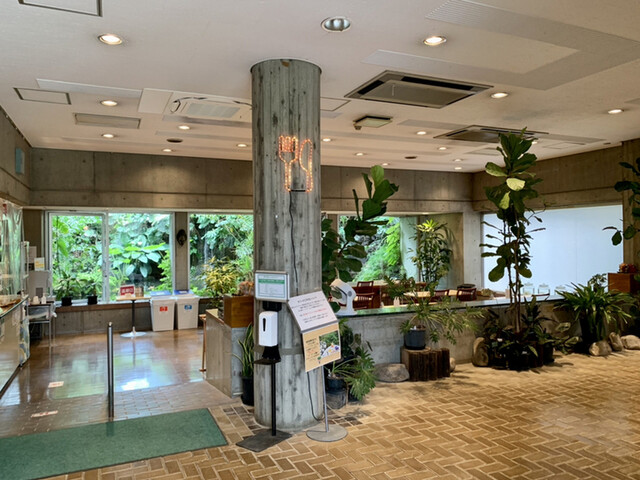 夢の島カフェ的實拍高清圖