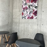 Stutea的實拍圖