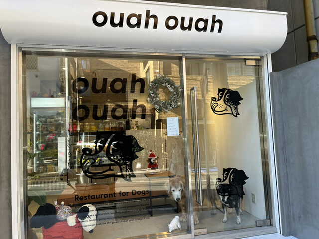 recommendations image for ouah ouah