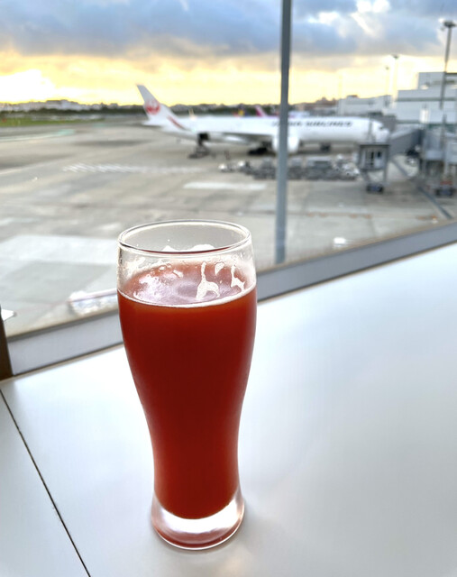 ANA ラウンジ 福岡空港 国内線的實拍高清圖