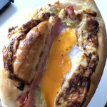 recommendations for SHINA