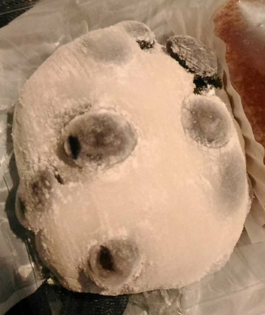 舎かたやま的实拍高清图