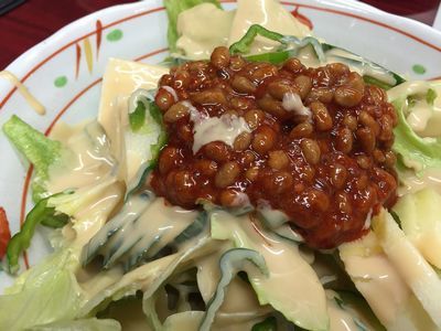 明月苑的实拍高清图