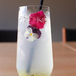 Tokyo Kenkyo的實拍圖