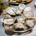 recommendations for ヤングオイスター