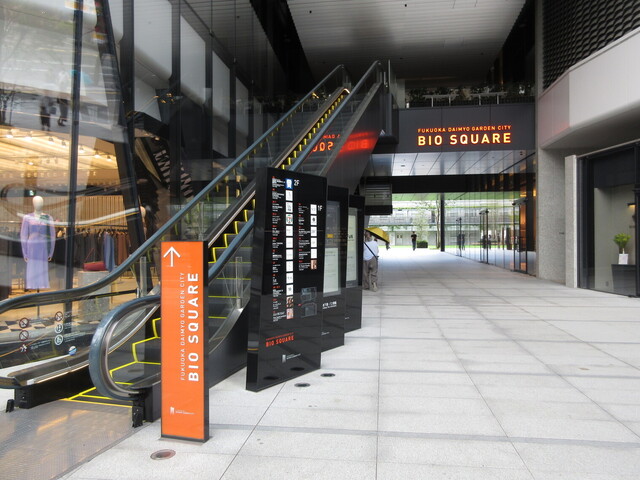 recommendations image for ASAKO IWAYANAGI FUKUOKA