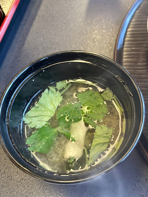 花やしき浮舟園的實拍高清圖