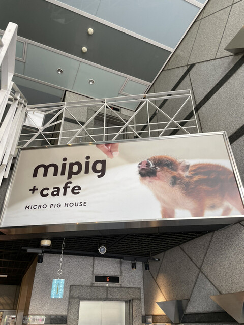 マイピッグカフェ 大阪店的實拍高清圖