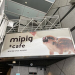 マイピッグカフェ 大阪店的實拍圖