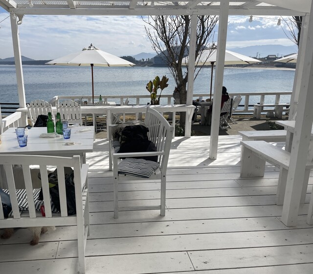 recommendations image for BeachHouseStyleCafe sunflower