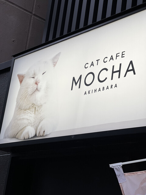 猫カフェMOCHA 秋葉原店的實拍高清圖