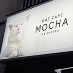 猫カフェMOCHA 秋葉原店的實拍圖