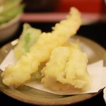 きらら的实拍图