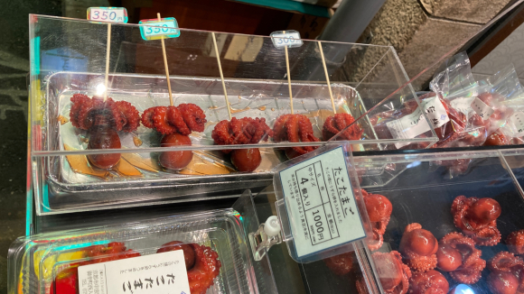 櫂的實拍高清圖