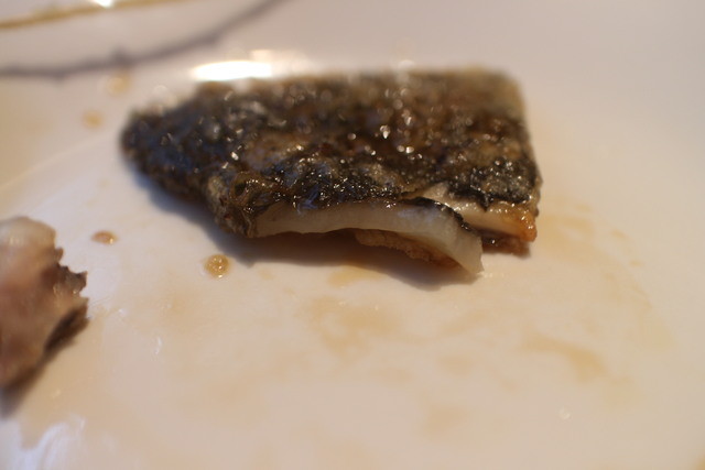 すっぽん 田一的實拍高清圖