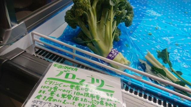 とうや水の駅的實拍高清圖