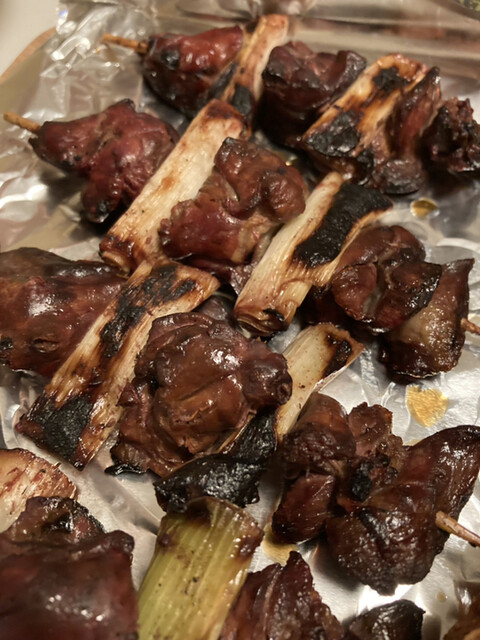 コバヤシ的實拍高清圖