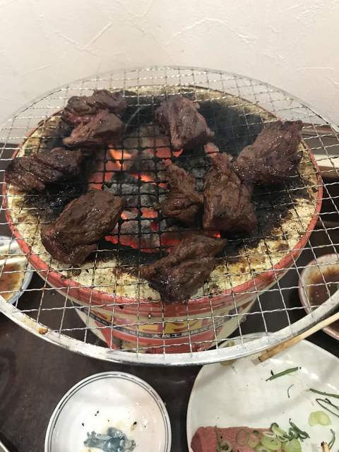 recommendations image for トンちゃん