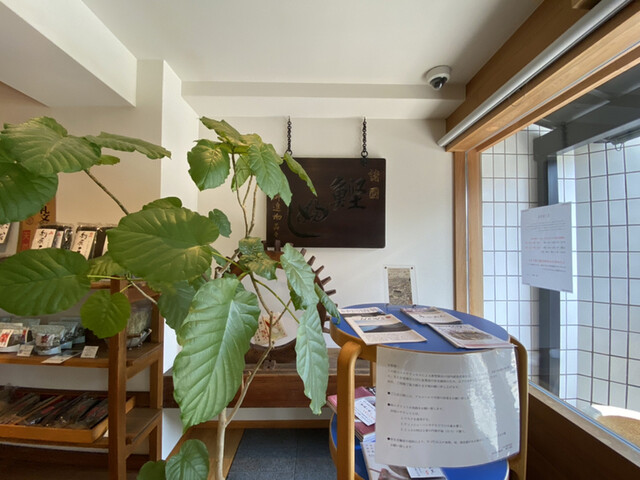 うね乃的實拍高清圖