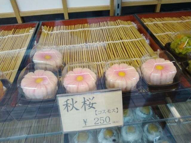 亀屋光洋的实拍高清图