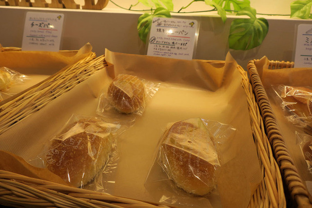 ルナール的实拍高清图