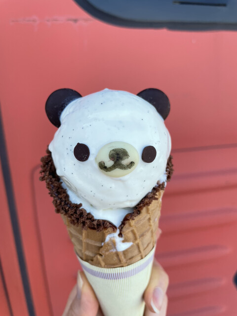 Plaisir的实拍高清图