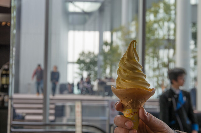 SKY GARDEN 300的實拍高清圖