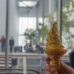 SKY GARDEN 300的實拍圖