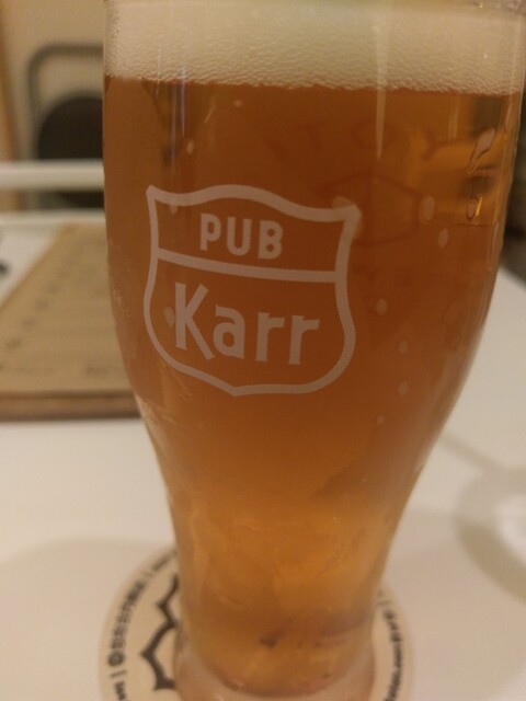 PUB ｋａｒｒ的实拍高清图