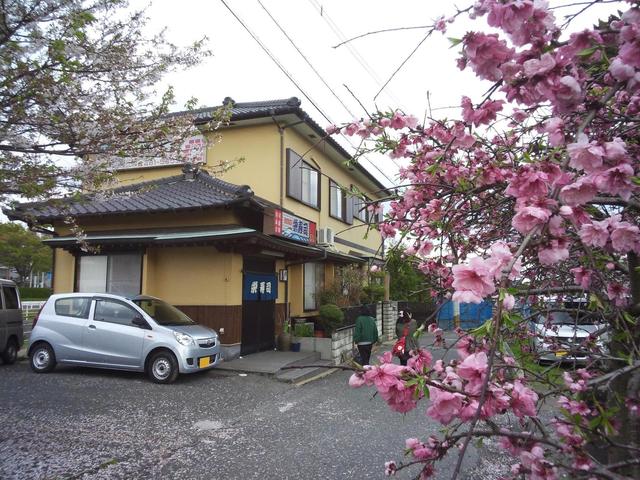 栄寿司的实拍高清图