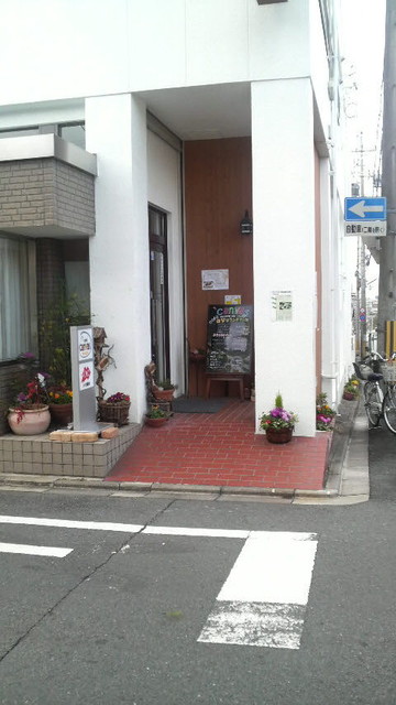 キャンバス的实拍高清图