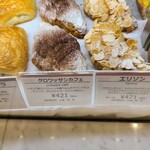 recommendations for REGINA