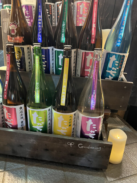 魚猿的实拍高清图