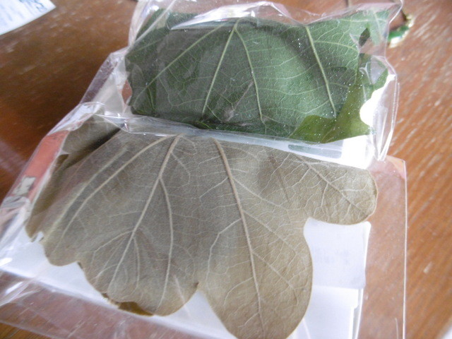 七條甘春堂 七条店的實拍高清圖