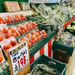 アウトロー的实拍图