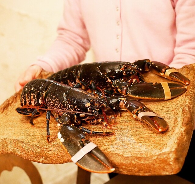 recommendations image for ボニュ