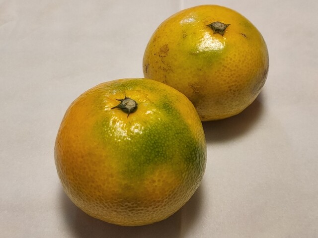 recommendations image for ジャパンミート卸売市場 王子店