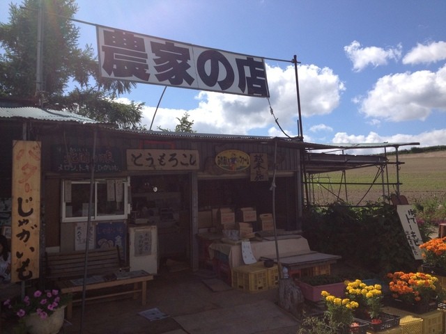 長谷川農園的实拍高清图