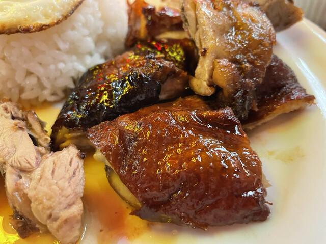 香港火鍋専門店 鴻運 高田馬場的实拍高清图