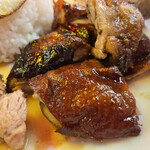 香港火鍋専門店 鴻運 高田馬場的实拍图