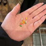 TOMBOY  赤坂店的实拍图