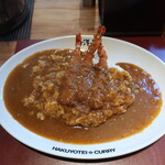 旨辛カレー専門店 白洋亭的实拍图